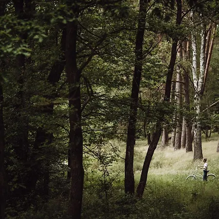 Osada Pod Lipa شقة