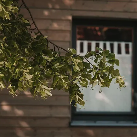 Apartman Osada Pod Lipa Ostrowice