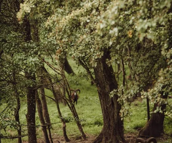 Osada Pod Lipa Appartement Ostrowice