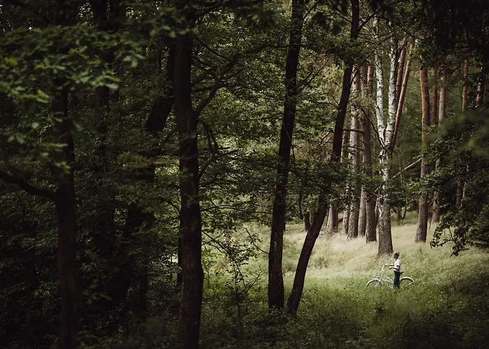 Osada Pod Lipa Appartement