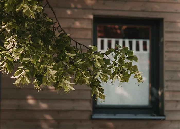 Apartament Osada Pod Lipą Ostrowice